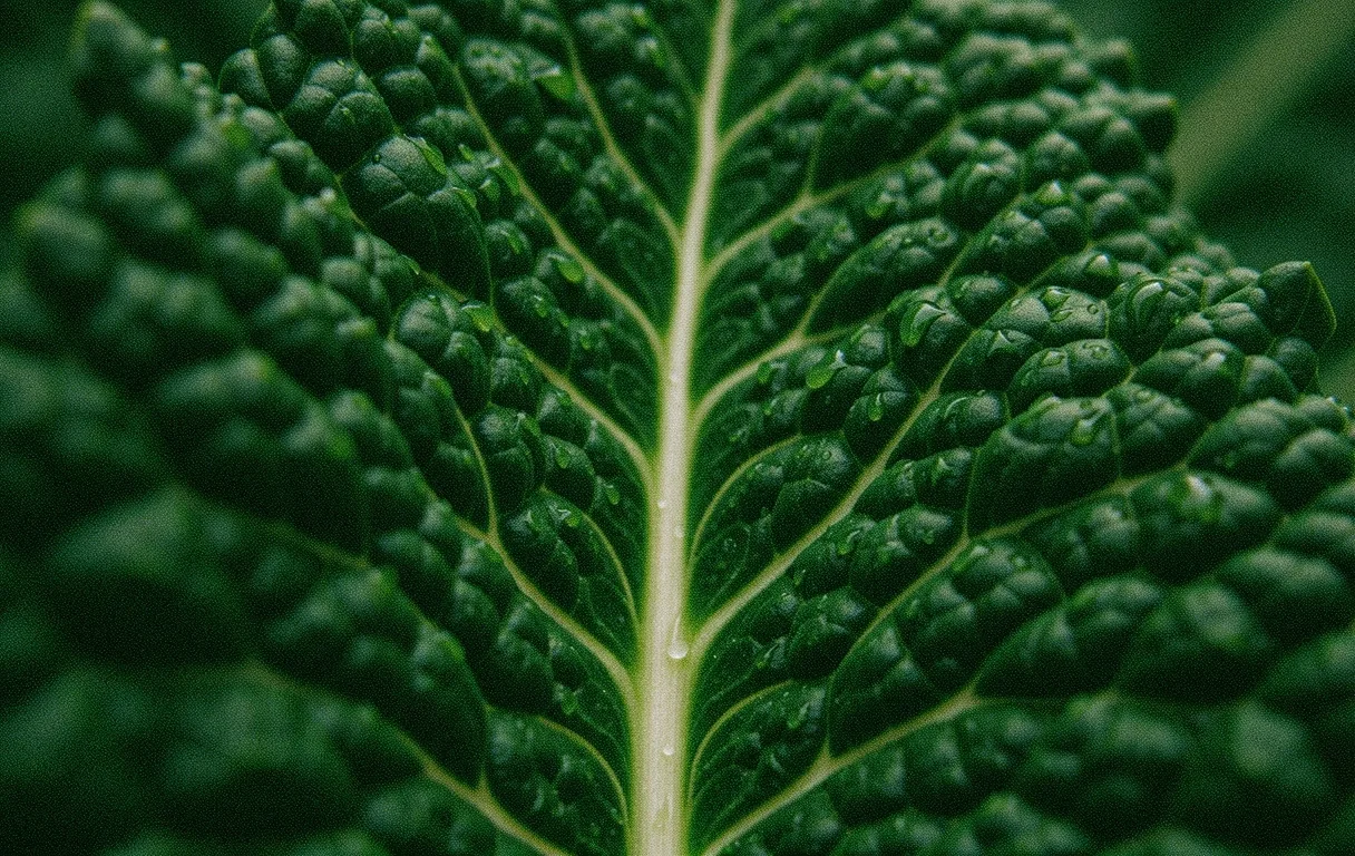 Vibrant organic texture